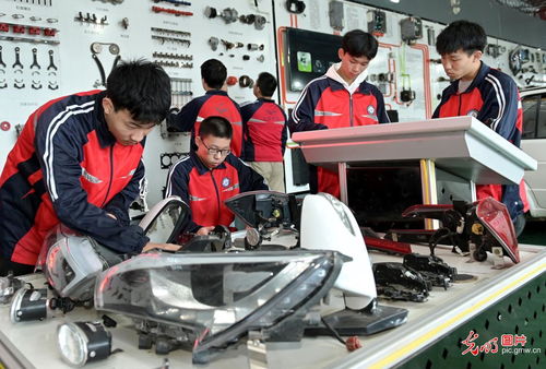 職業教育促就業