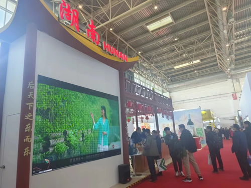 鏈 出創新發展 湘 遇首屆中國國際供應鏈促進博覽會