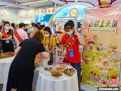引資543億元，首屆湖南-東盟投資貿易洽談會在邵陽開幕，聚焦人才與產業新機遇